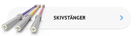 Skivstänger