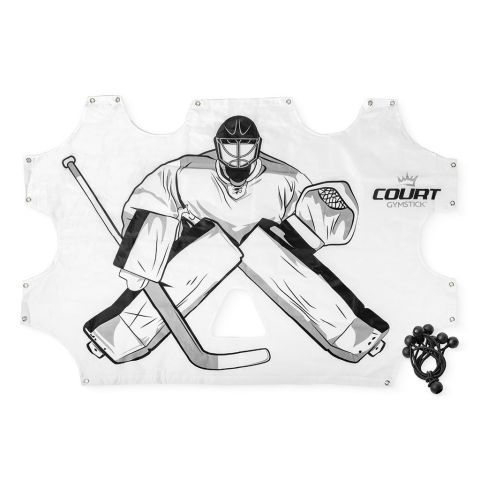 Court Måltavla till hockeymål